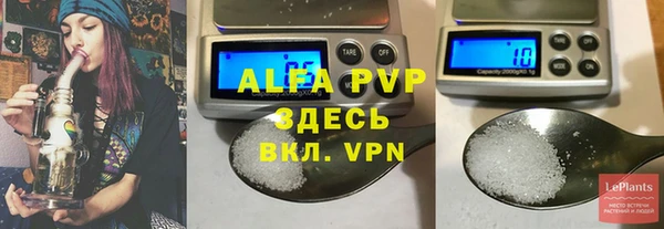 дживик Няндома