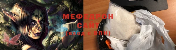 дживик Няндома