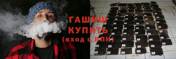 дживик Няндома