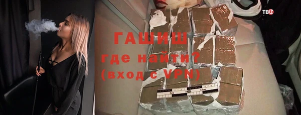 дживик Няндома