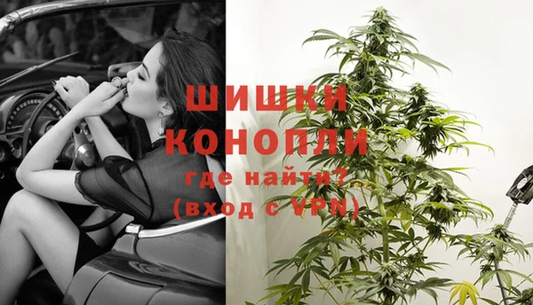 spice Нязепетровск