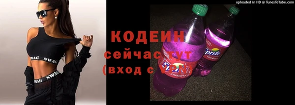 дживик Няндома