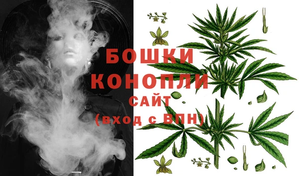 твердый Нягань