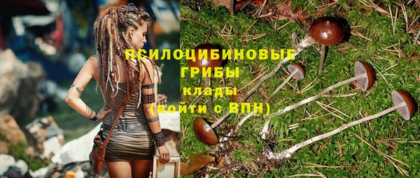 дживик Няндома