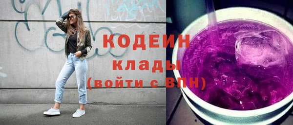 дживик Няндома