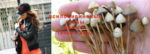 твердый Нягань