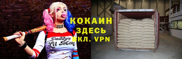 дживик Няндома