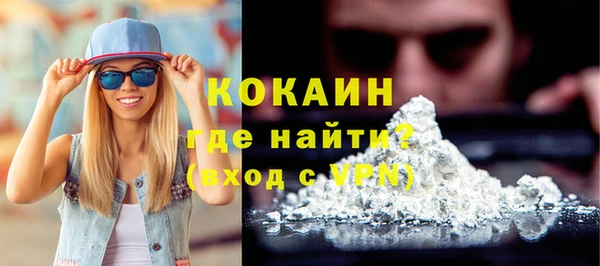 дживик Няндома