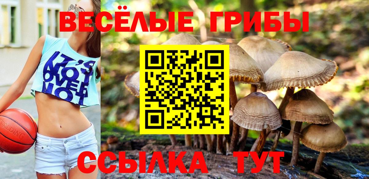 Псилоцибиновые грибы ЛСД Тавда