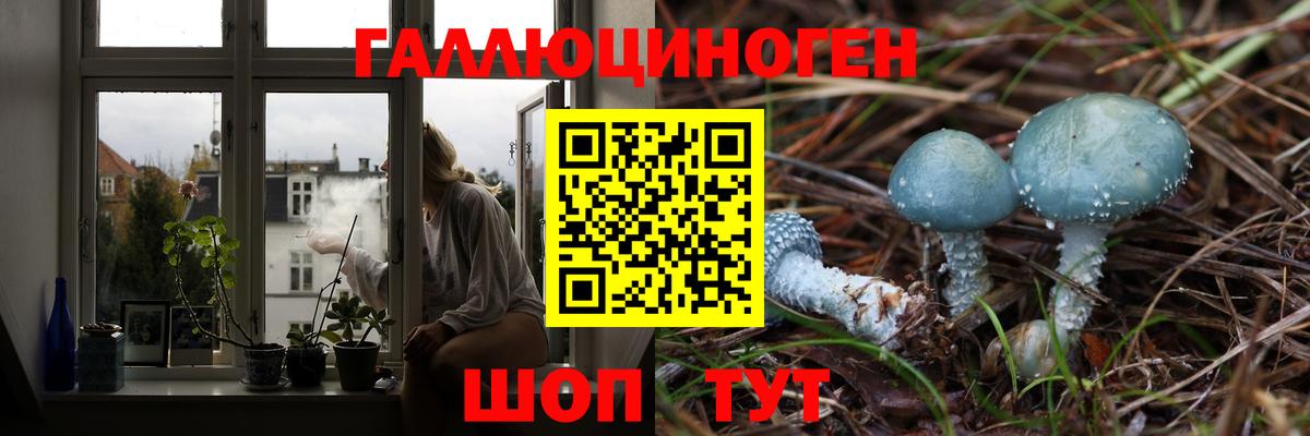 Псилоцибиновые грибы Psilocybine cubensis  как найти закладки  Тавда  Вход с VPN 